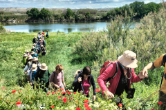 PARTICIPACIÓN Y CAPACIDADES SOCIALES Ruta guiada por los sotos del Ebro en el tramo Osera de Ebro - Fuentes de Ebro (Zaragoza)