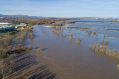 Meandro de El Señorío (Castejón, Navarra) efecto de las inundaciones ante de las intervenciones 12/12/2021