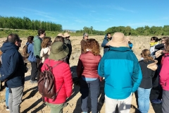 Visita al meandro de La Roza, Alfaro, La Rioja