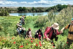 20240428 Ruta guiada popular por el meandro de Aguilar en Fuentes de Ebro