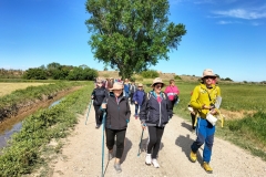 20240428 Ruta guiada por el meandro de Aguilar en Fuentes de Ebro. Jornada pública participativa.