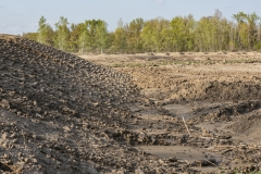 07-Adecuación morfológica junto al mosaico de medios húmedos