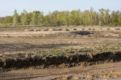 08-Adecuación morfológica junto al mosaico de medios húmedos