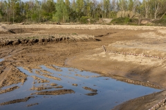 04-Excavación del mosaico de medios húmedos