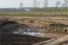 03-Excavación del mosaico de medios húmedos