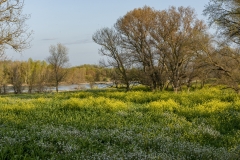 12-Primavera en la zona de actuación