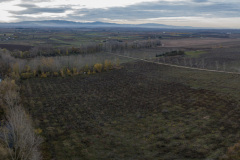 Vista previa al comienzo de las obras - zona donde se ubicará el humedal