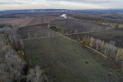 Vista previa al comienzo de las obras - terrenos de la antigua chopera donde se restaurará el bosque de ribera