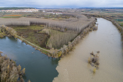 Confluencia de los ríos Ebro (izquierda) y Aragón (derecha) durante la crecida del 13 de diciembre de 2019