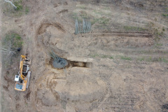 Plantaciones en la antigua chopera