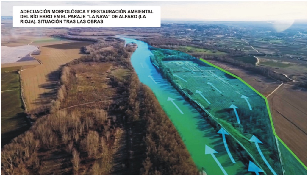 Arranca la restauración fluvial del río Ebro en Alfaro