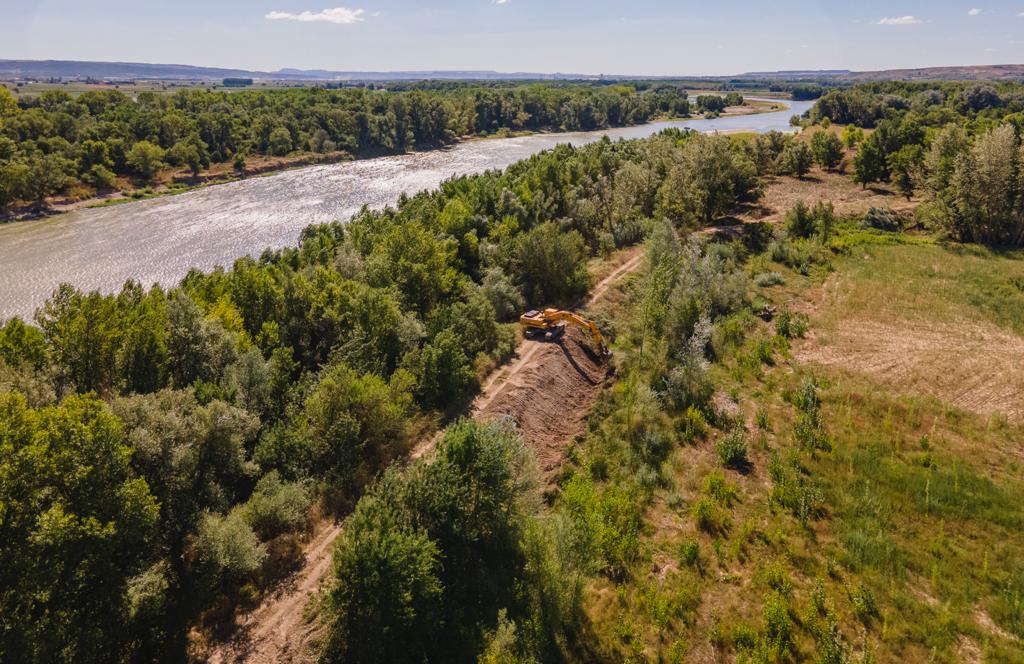 Avanza la restauración fluvial del Ebro en el paraje de La Nava (Alfaro, La Rioja)