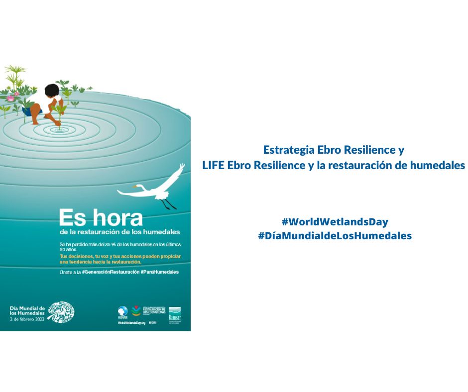 Día Mundial de los Humedales: las acciones Ebro Resilience contribuyen a la mejora de zonas húmedas