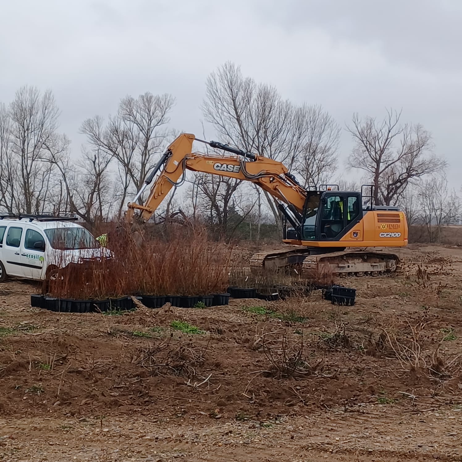 Comienza la restauración ambiental en el paraje de “El Ortigoso” en Milagro