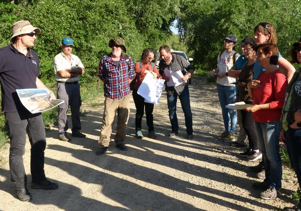 Grupos de co-creación en una visita a la Zona 2 de intervención del Proyecto LIFE Ebro Resilience P1 Osera de Ebro - Fuentes de Ebro (Zaragoza)
