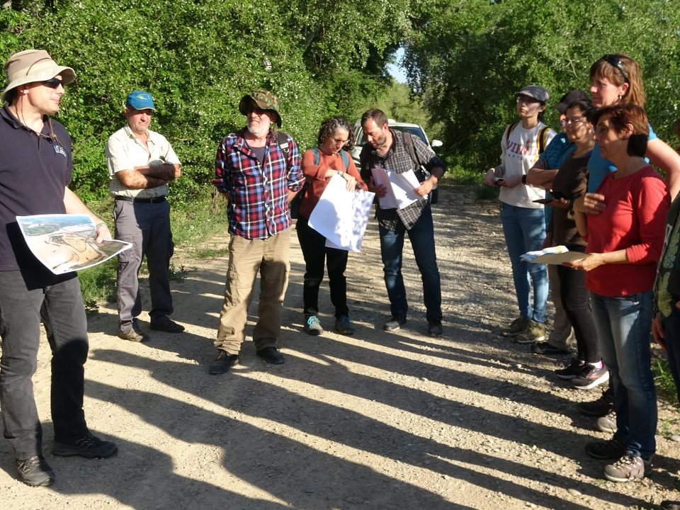Grupos de co-creación en una visita a la Zona 2 de intervención del Proyecto LIFE Ebro Resilience P1 Osera de Ebro - Fuentes de Ebro (Zaragoza)