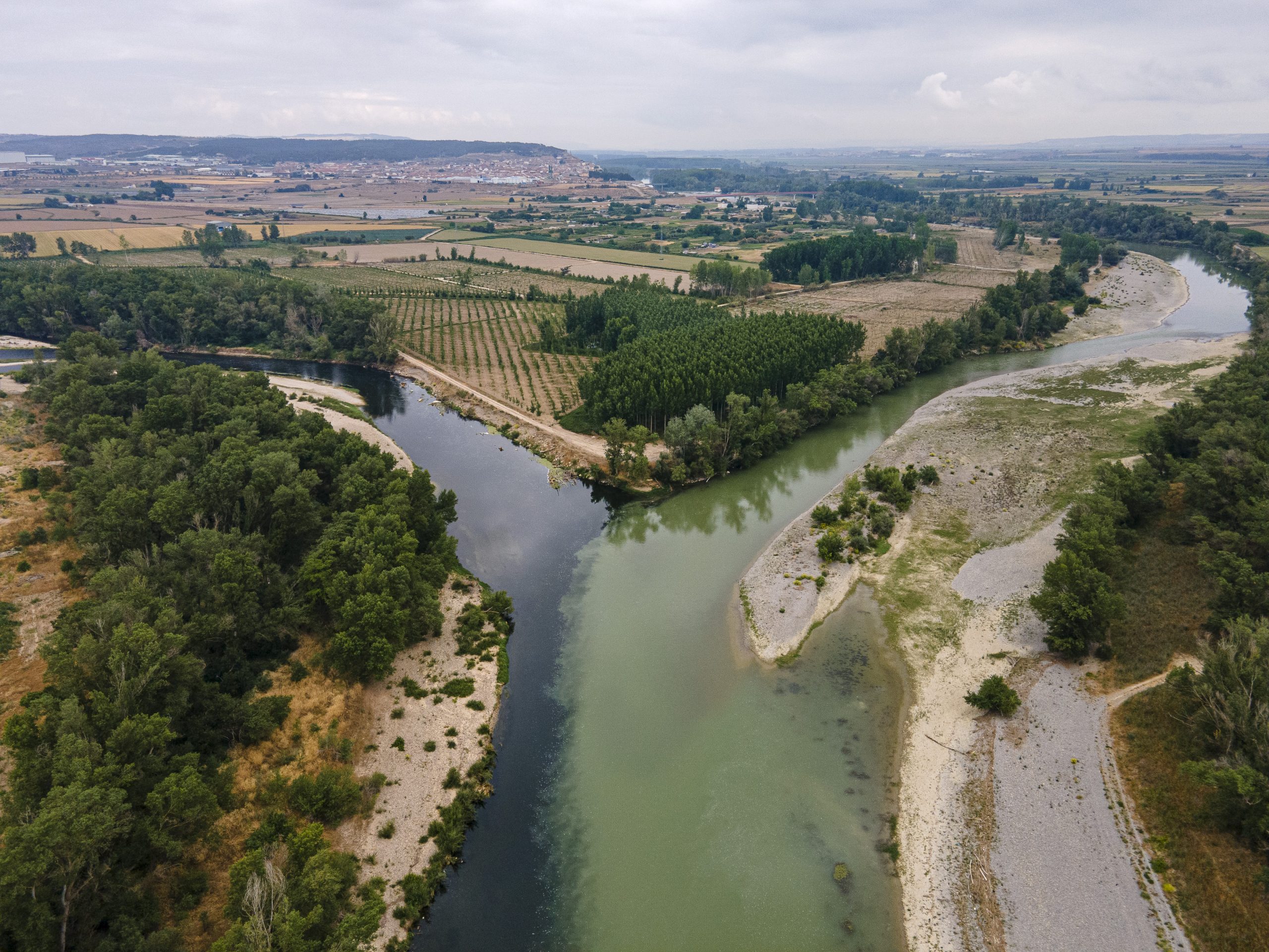 Phase 1 of the environmental restoration of the Ebro river in "El Ortigoso", Milagro (Navarra) is completed.