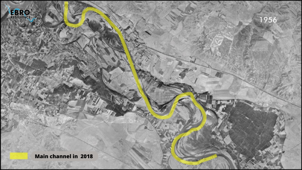 Figure 5b. Comparison of the evolution of the Ebro riverbed in 1956 and the present (own elaboration).