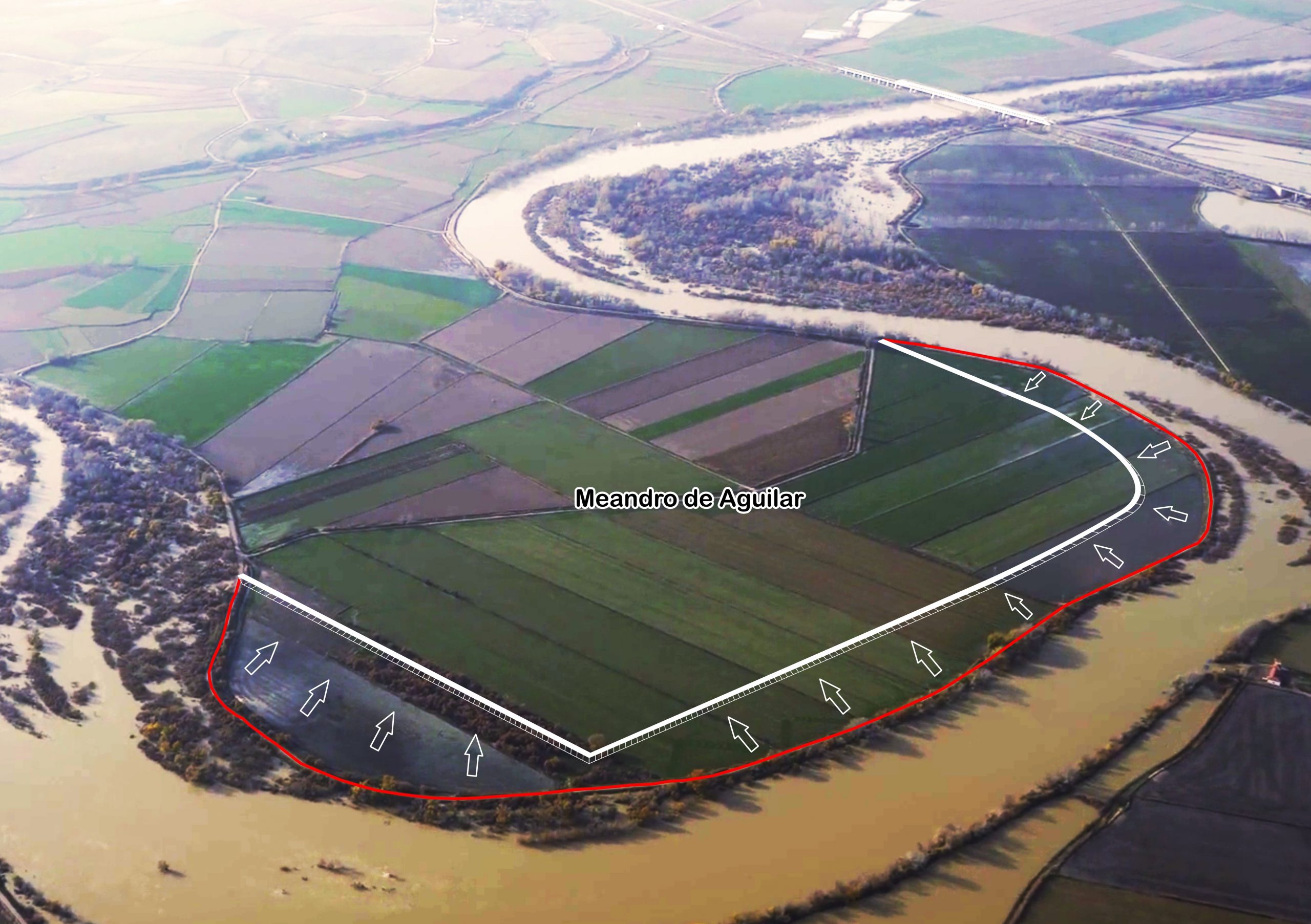 Infografía del proyecto de retranqueo de la mota del meandro de Aguilar (Fuentes de Ebro, Zaragoza) para ampliar el espacio fluvial. Fase 1 del proyecto de adecuación de la zona 2 LIFE Ebro Resilience P1