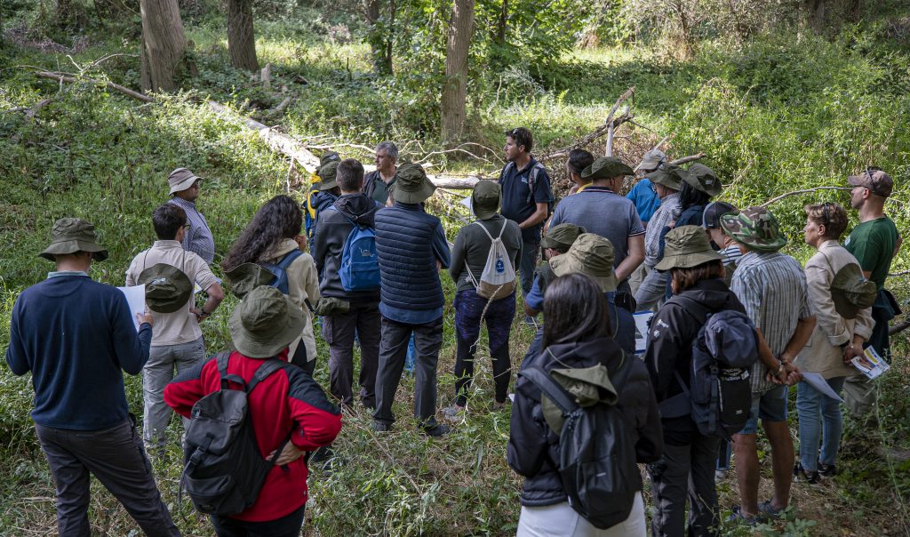 Visita de los grupos de co-creación al Soto de Tamarigal en Alfaro