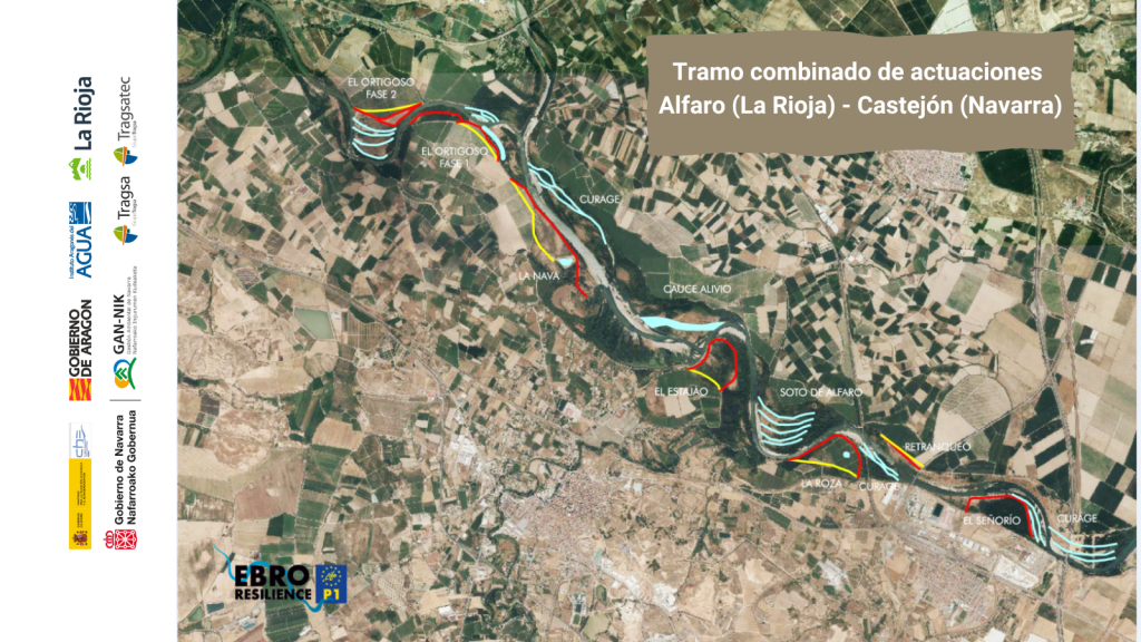 Tramo combinado de actuaciones del Proyecto LIFE EBRO RESILIENCE P1