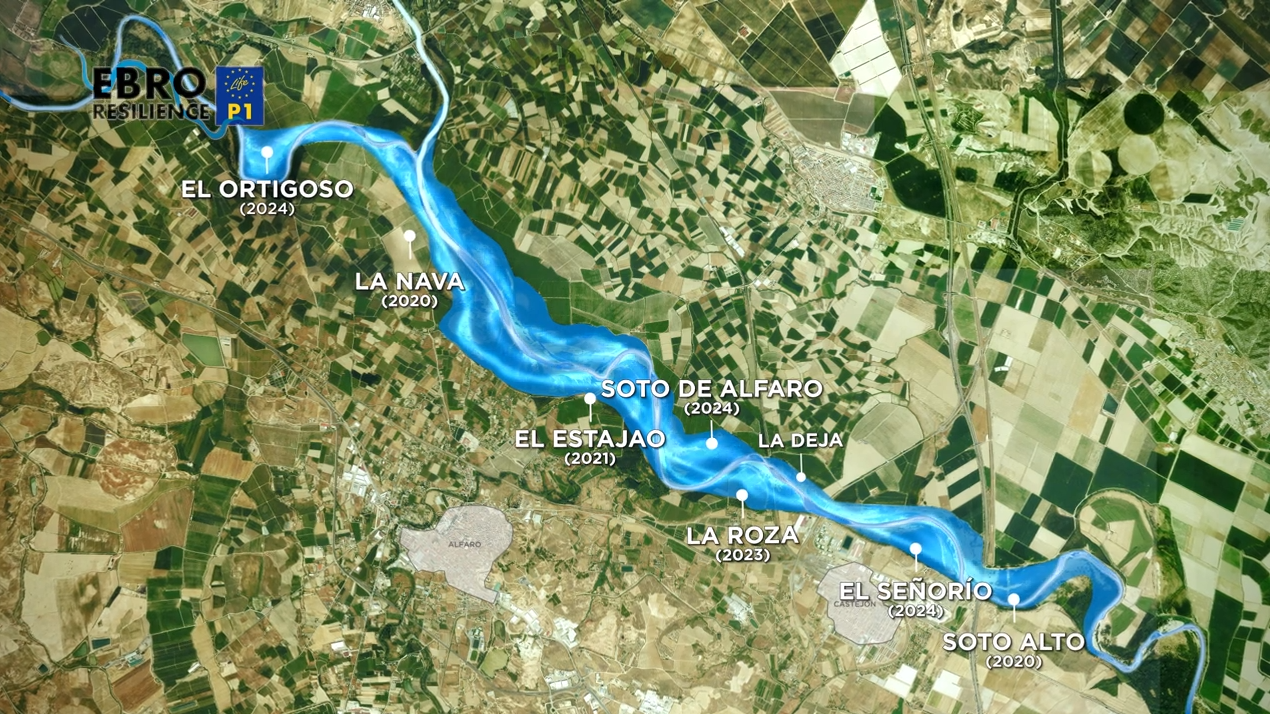 Plano del tramo combinado de actuaciones del Proyecto LIFE Ebro Resilience P1 entre Alfaro (La Rioja) y Castejón (Navarra). Sucesión de medidas naturales de evacuación de agua.