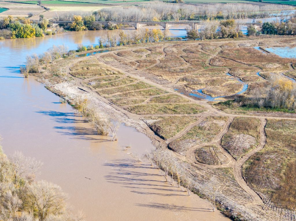 Adecuación morfológica en el río Ebro en el meandro de La Roza, Alfaro (La Rioja)