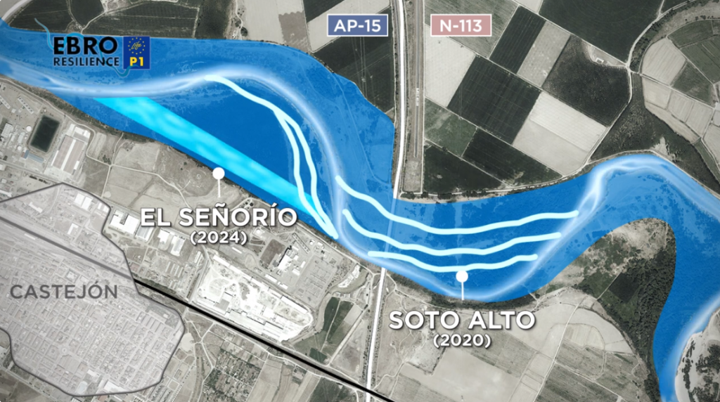 Plano de actuación en El Señorío, Castejón, Navarra. Creación de cauce de alivio y reconexión de antiguos brazos de río.