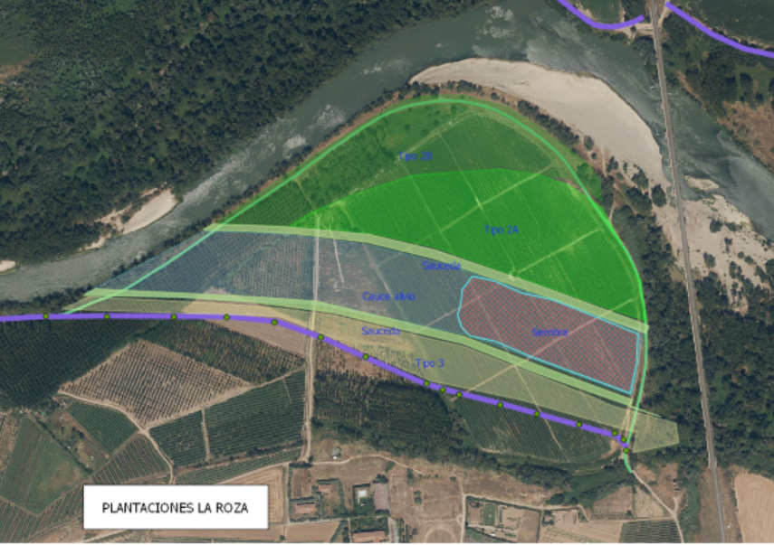 Zonificación de las plantaciones en el meandro de La Roza, Alfaro, La Rioja