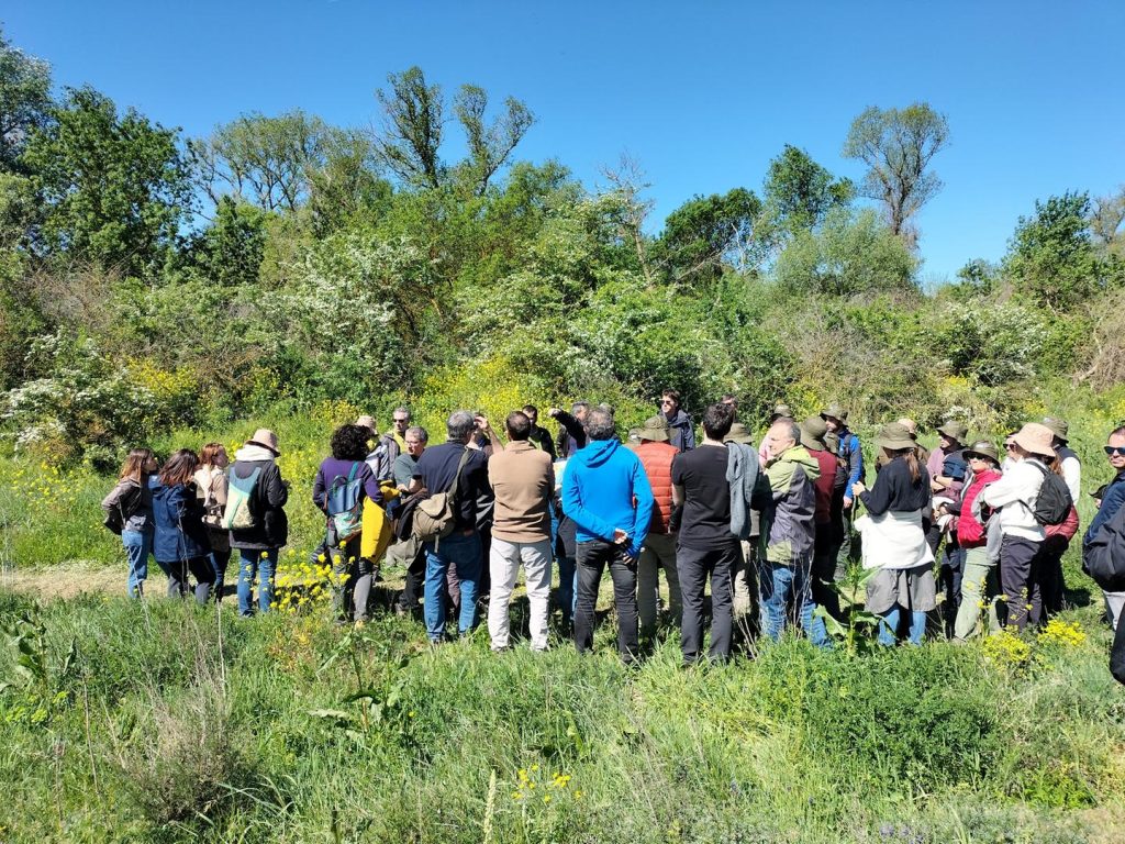 Técnicos de todos los organismos de España visitan el soto de Alfaro en las II jornadas de Organismos de cuenca del LIFE Ebro Resilience P1