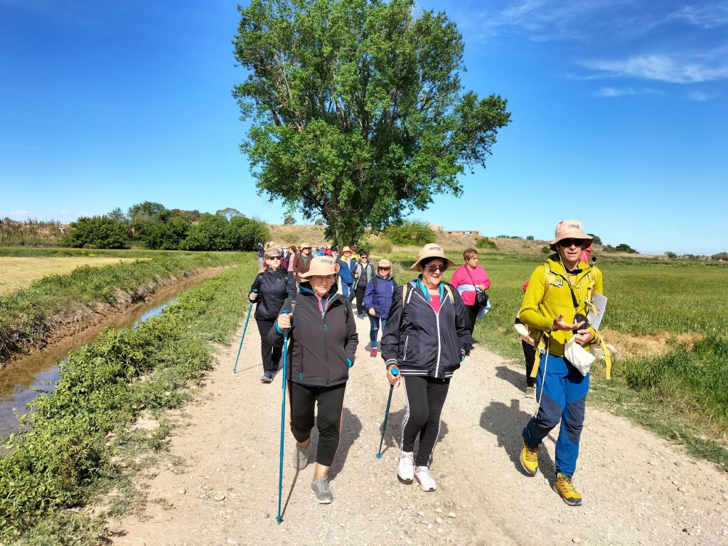 Ruta guiada por el meandro de Aguilar en Fuentes de Ebro. Jornada pública participativa.