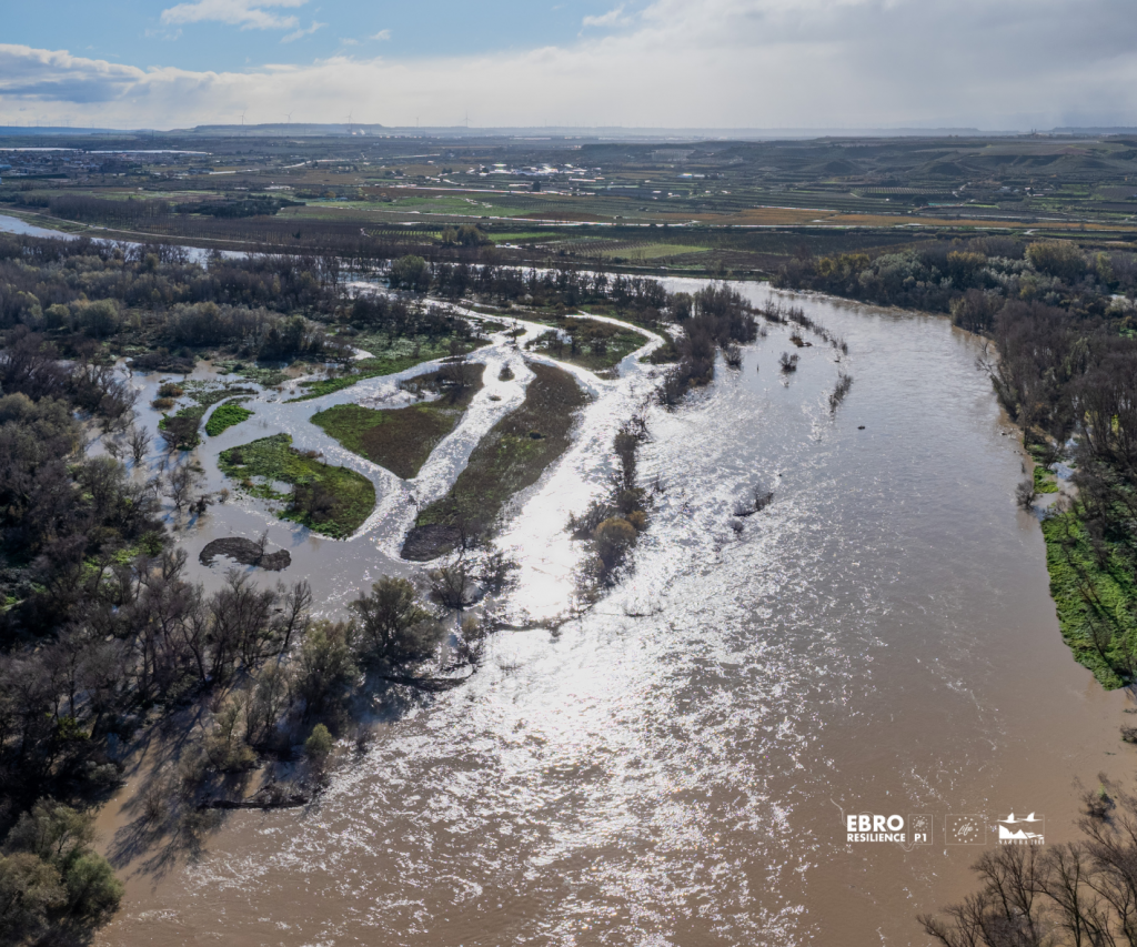 Reapertura de brazos de río