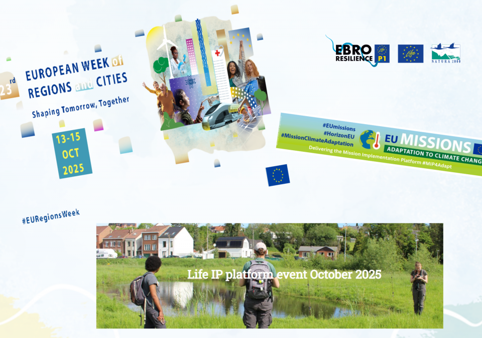 Cartel de foros europeos