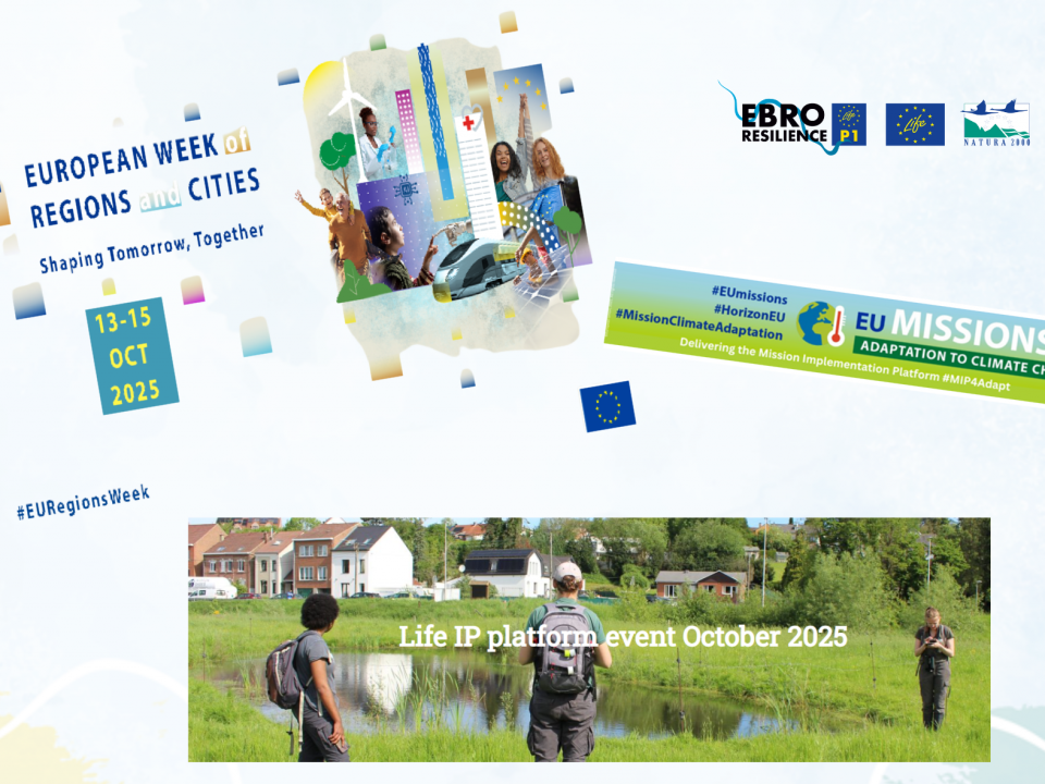 Cartel de foros europeos