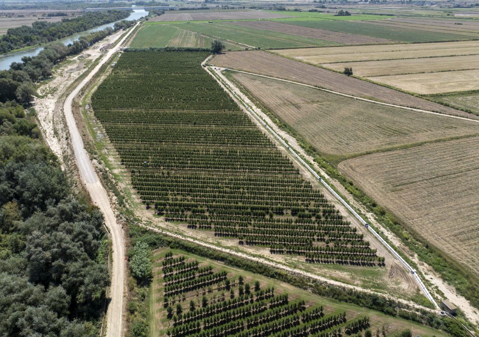 Retranqueo defensa en Mejana del Conde