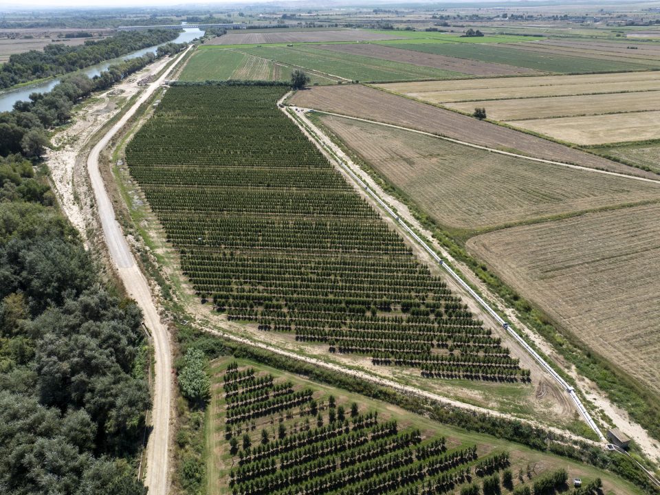 Retranqueo defensa en Mejana del Conde