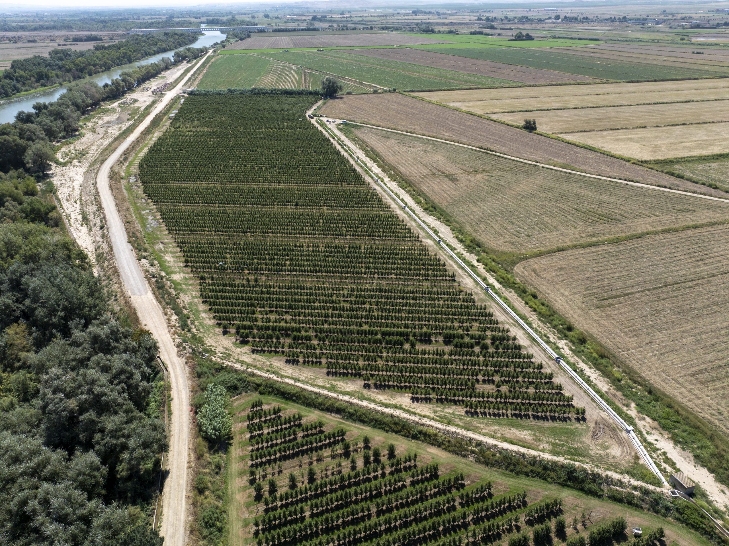 Retranqueo defensa en Mejana del Conde