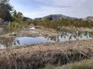 foto genérica de inundación