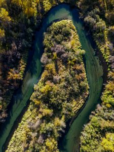 Imagen de una isla fluvial