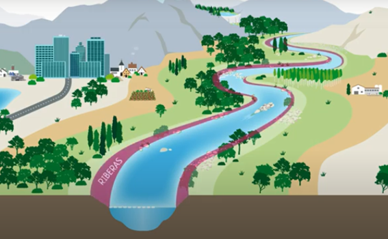 Esquema riberas de un río fuente CHE