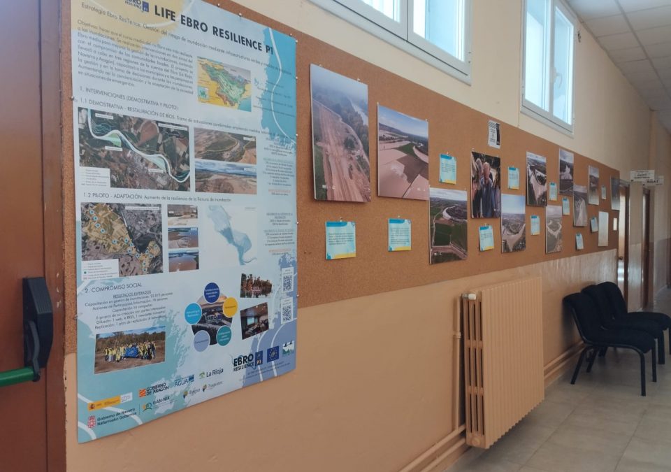 Exposición Cuando el río recupera su espacio en Fuentes de Ebro