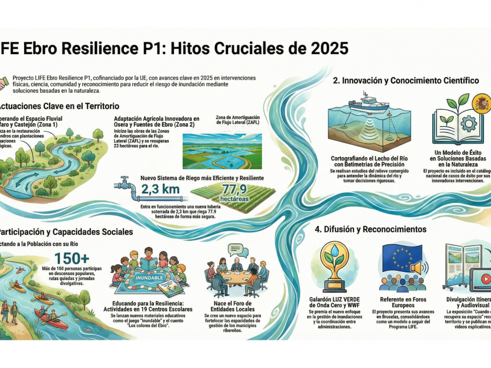 Infografía resumen año 2025 del Proyecto LIFE Ebro Resilience P1