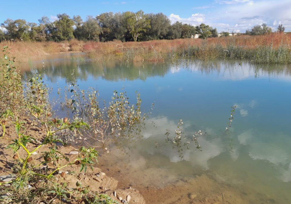Humedal de La Roza, en Alfaro.