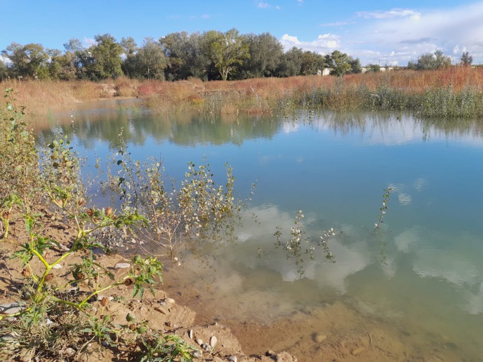 Wetland of La Roza, in Alfaro.