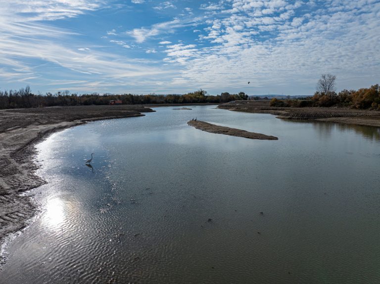 Nuevo humedal en el Soto de Aguilar (Osera de Ebro - Fuentes de Ebro). Noviembre 2025