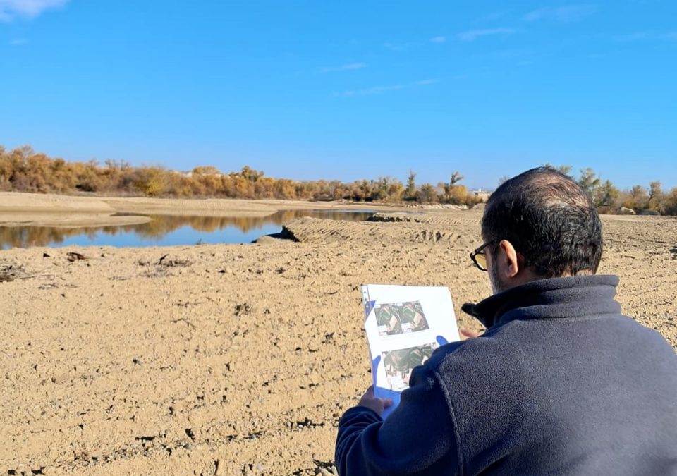 Trabajo de seguimiento del estado ecológico de Proyecto LIFE Ebro Resilience P1