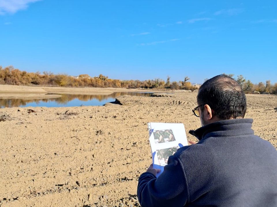 Trabajo de seguimiento del estado ecológico de Proyecto LIFE Ebro Resilience P1