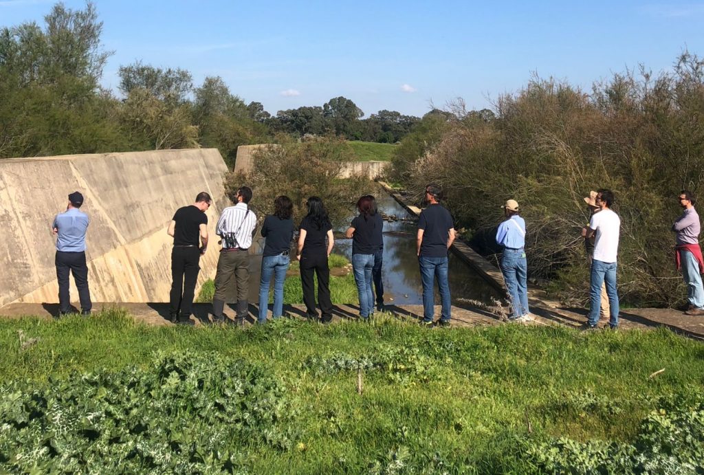 • Antiguo dique de contención de sedimentos en el Arroyo del Partido, en El Rocío