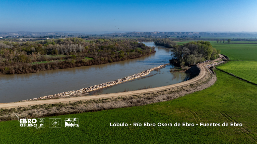 Lóbulo en el Ebro en el tramo Osera de Ebro - Fuentes de Ebro (Zaragoza)