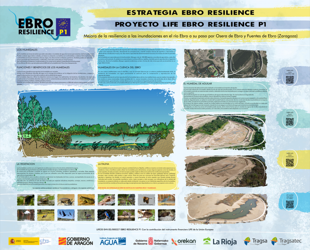 Zone 2 wetland creation panel